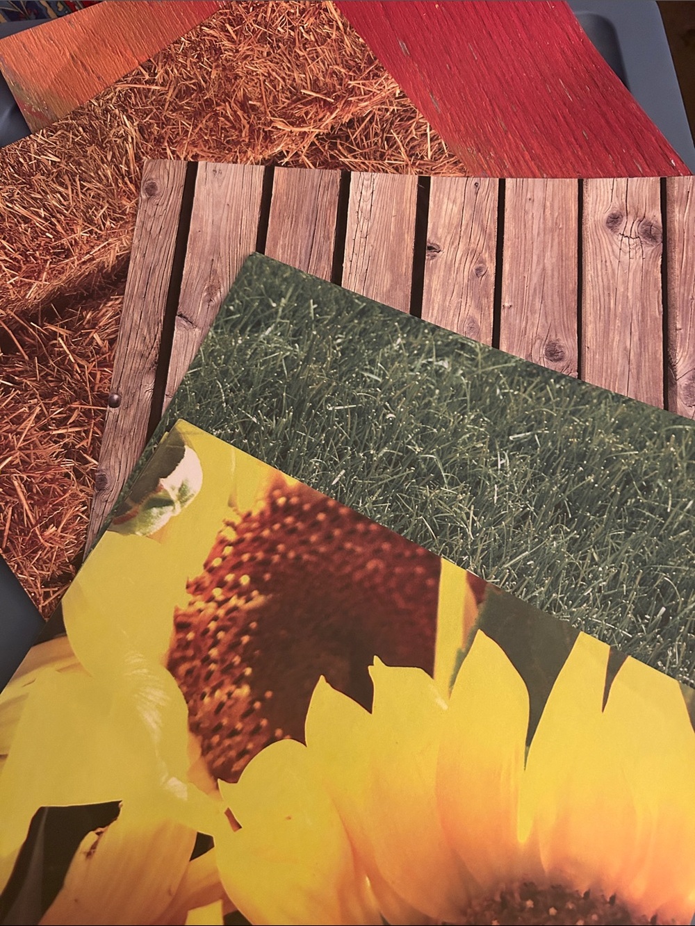 Farm Scrapbook Element Craft Paper Bundle in Red, Brown, Green